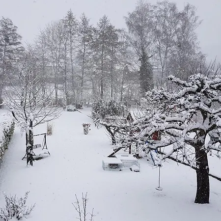 Finger's Hyggelig-haus 別荘 エアバッハ