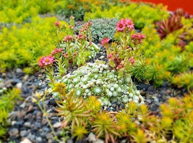 Ferienhaus Finger's Hyggelig-haus Erbach (Odenwaldkreis)